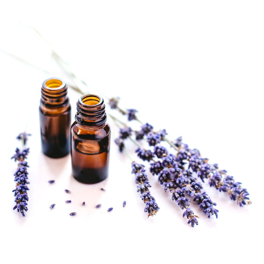 Lavender Essential Oils Photo